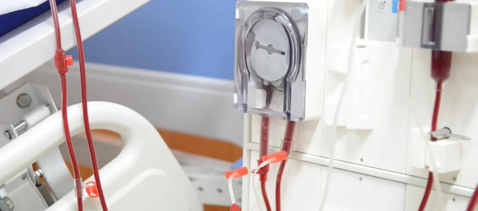 Medical illustration of kidneys