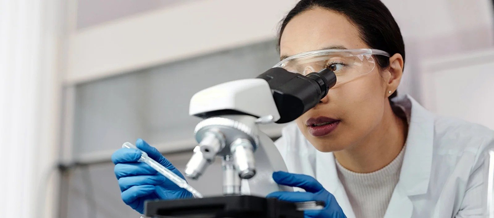 Medical illustration of kidneys